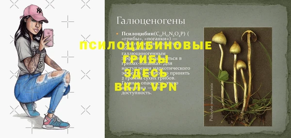 индика Ростов